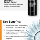 Revision Skincare® D∙E∙J Power Regimen Consumer Brochure (12 pages)