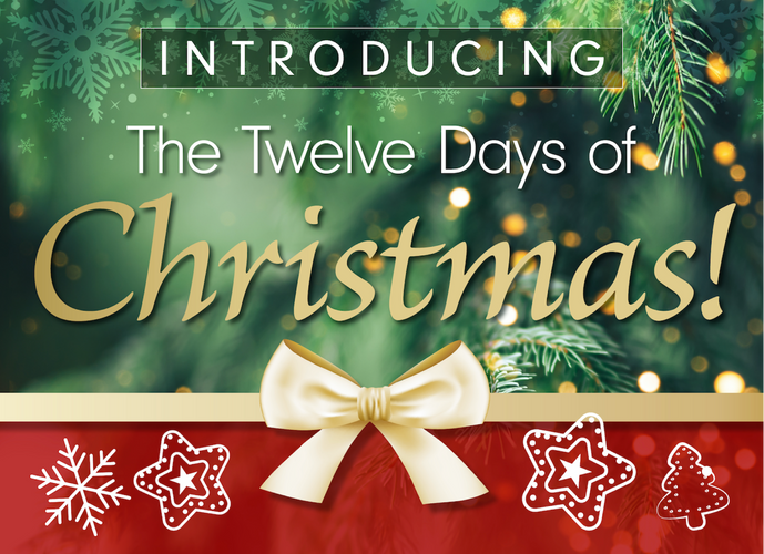 Introducing Twelve Days of Christmas offers! 🎁