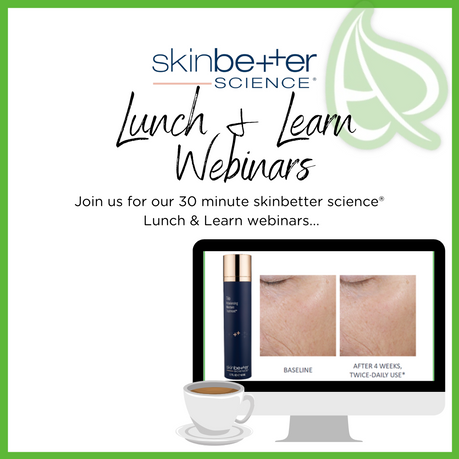 Lunch & Learn webinars