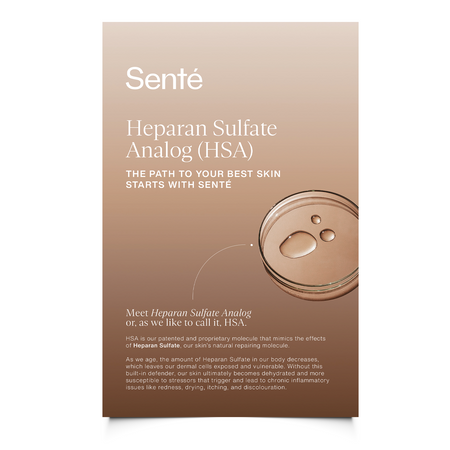 Senté HSA Brochure (4 pages)