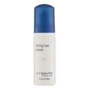 Refresh Refining Foam Cleanser